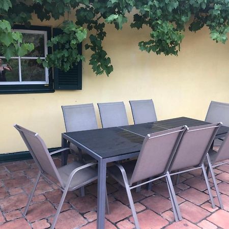 Winzerhaus Mit Fernblick Villa Krems an der Donau Luaran gambar